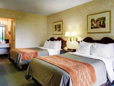 Inn Quality Vienna - Tysons Corner