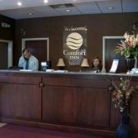 Inn Quality Vienna - 3*